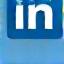 Icona LinkedIn
